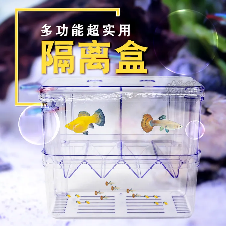 水族箱孔雀鱼繁殖盒凤尾孵化盒母鱼产房小鱼饲养隔离盒鱼缸孵化器