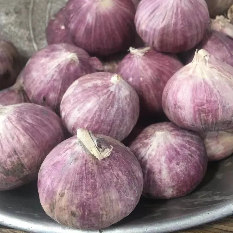 食香九镇云南大理独头蒜独蒜头紫皮蒜独子大蒜1-5斤带箱