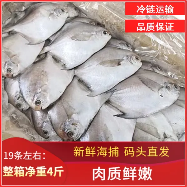 甄选   银鲳鱼 鲳鱼 白鲳鱼   5包 *450g/包