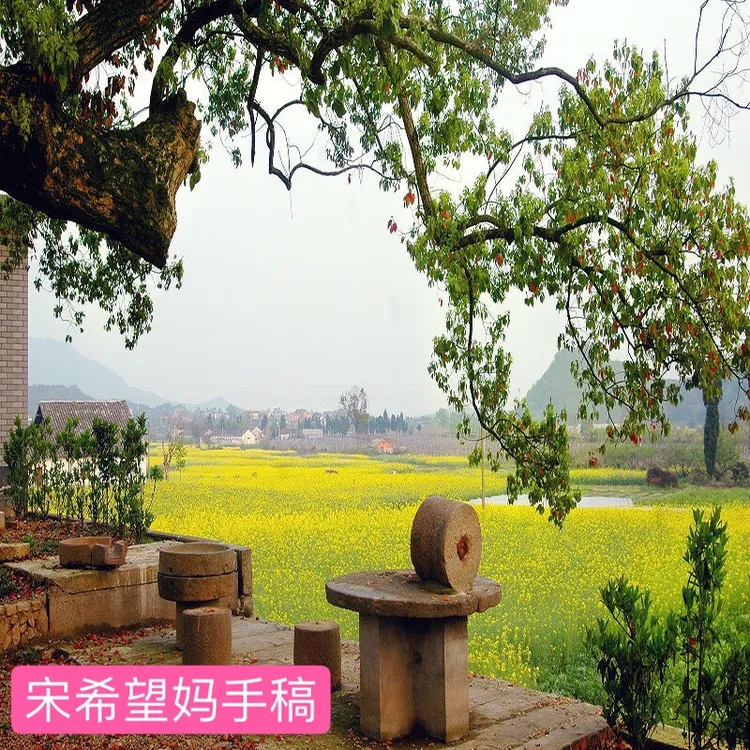 【希望妈推荐】主播直播间背景布农村老旧房子地立体背景墙布