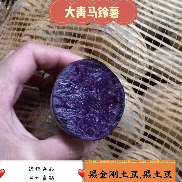 黑土豆原种紫土豆黑金刚马铃薯黑美人紫色洋芋5斤大小果包邮