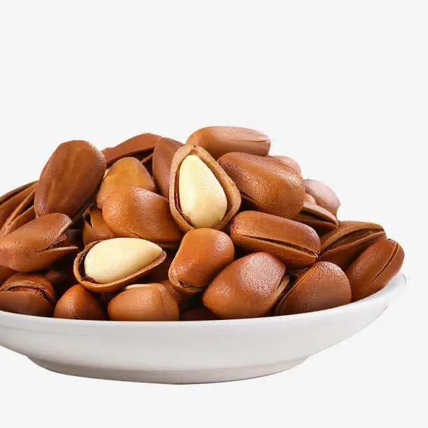 新炒东北开口大松子(850颗粒大果)