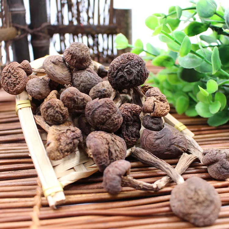 辽宁丹东发货  榛蘑  500g/包邮
