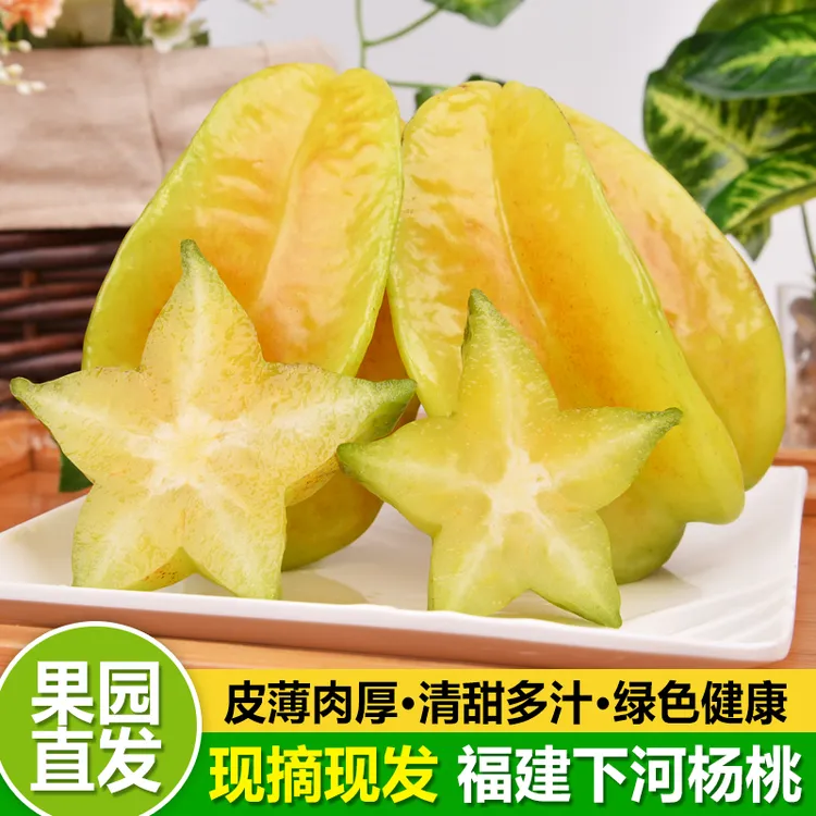 新鲜水果福建漳州地标产品下河杨桃5斤包邮品质发货坏果包赔