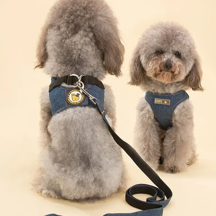 【爆款】小型中型犬狗链子牵引绳泰迪柯基防挣脱遛狗绳宠物胸背