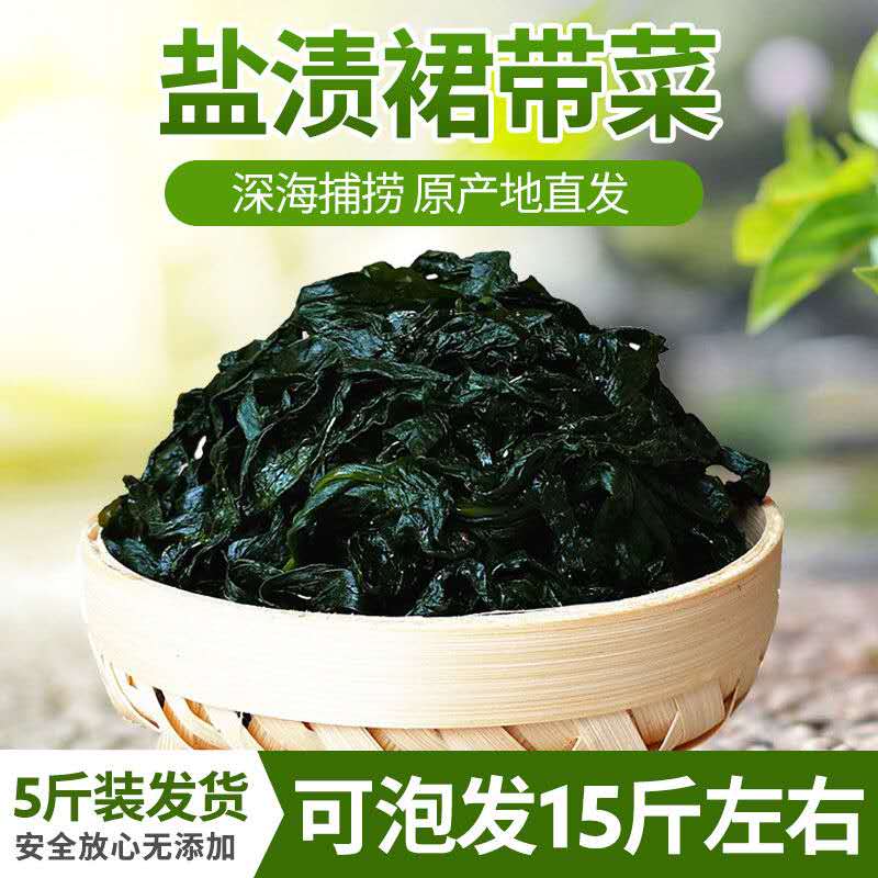 连云港发货 海鲜生鲜 裙带菜 5斤