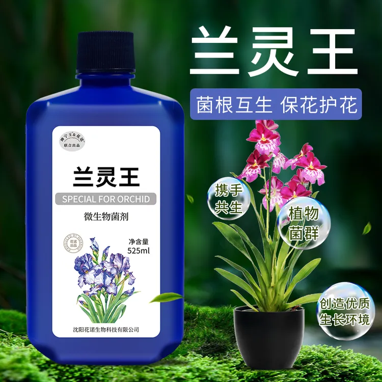 KUNNINGWANG/坤宁王兰灵王兰花专用营养液肥料EM菌君子兰蝴蝶兰
