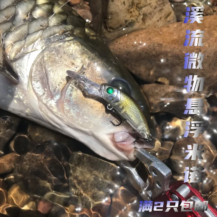 微物路亚饵3.4cm2.4g悬浮深潜小米诺灵鱲溪流用马口军鱼罗非红眼