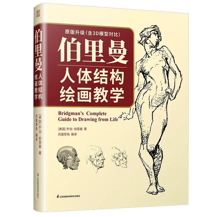 伯里曼人体结构绘画教学  新增3D模型图升级对比，人体绘画素描