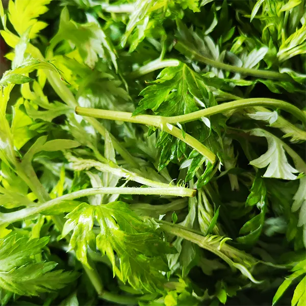  新鲜艾草青团艾米果糍粑专用艾草