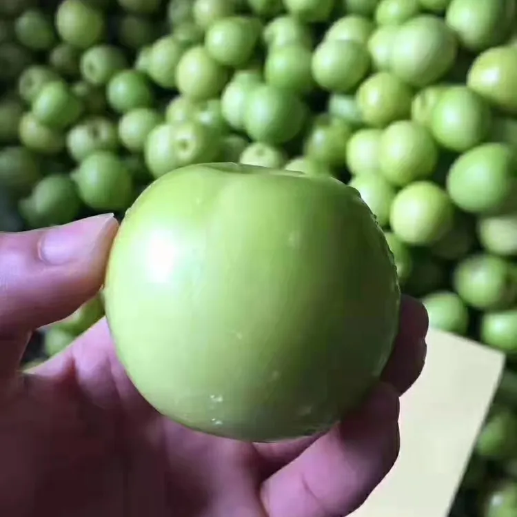 脆甜台湾大青枣牛奶枣蜜枣不催熟不打蜡现摘现发5斤青枣当季水果