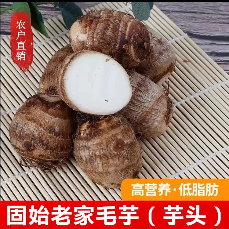 河南信阳固始特产毛芋头3斤5斤新鲜美味小芋头农家毛芋