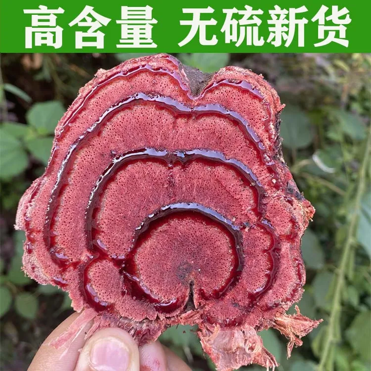 正宗广西新鲜鸡血藤煲汤煮水材料无硫新货1000克包邮