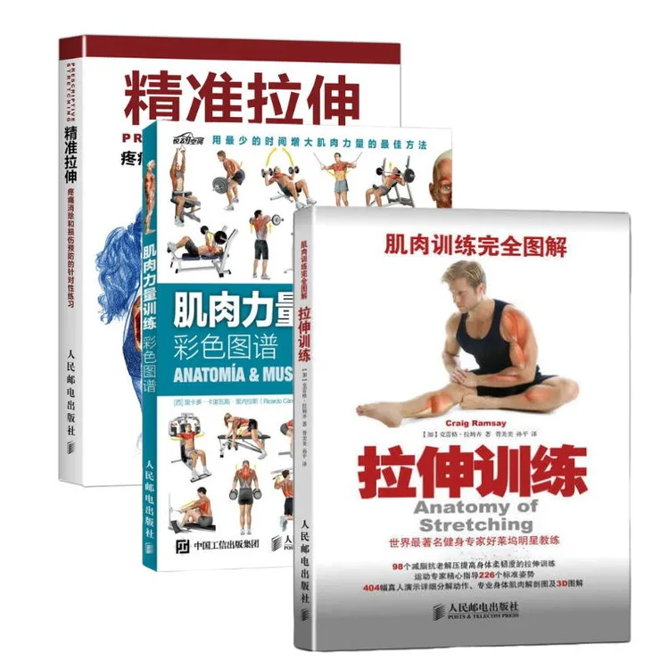 精准拉伸 /肌肉训练完全图解：拉伸训练/肌肉力量