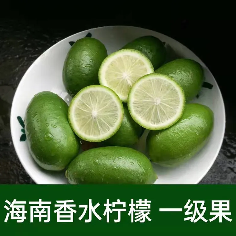 海南香水柠檬无籽青柠檬1/2/3/4/5斤包邮长条子弹头柠檬奶茶店