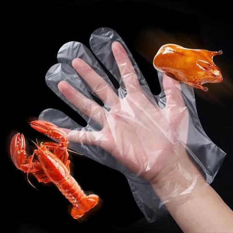 一次性手套透明手套防水手套薄膜加厚餐饮家务环保手套