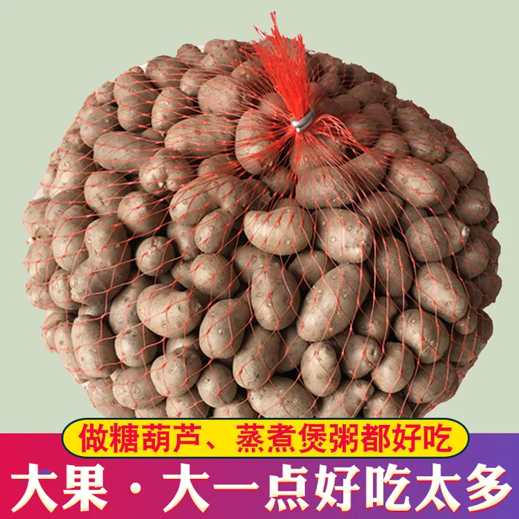 山东新鲜农家铁棍山药豆淮怀山药蛋3斤5斤装家用饱满香糯品质煮粥