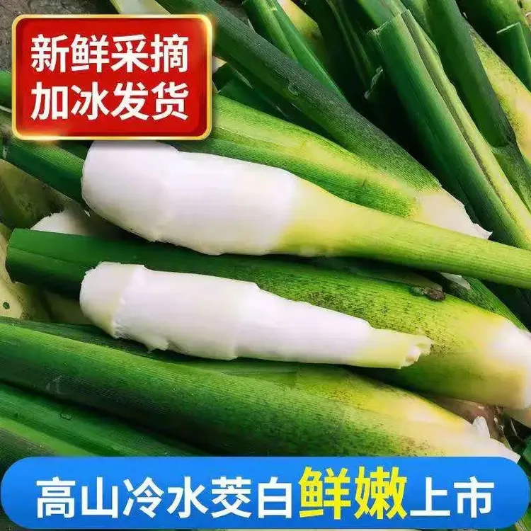 【高山冷水茭白】2025年新鲜茭白高笋高瓜带壳茭瓜季节时令蔬菜3斤