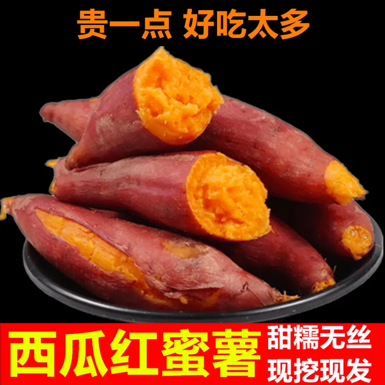 河南西瓜红番薯红薯新鲜红心蜜薯糖心山芋烤地瓜板栗红薯5斤10斤