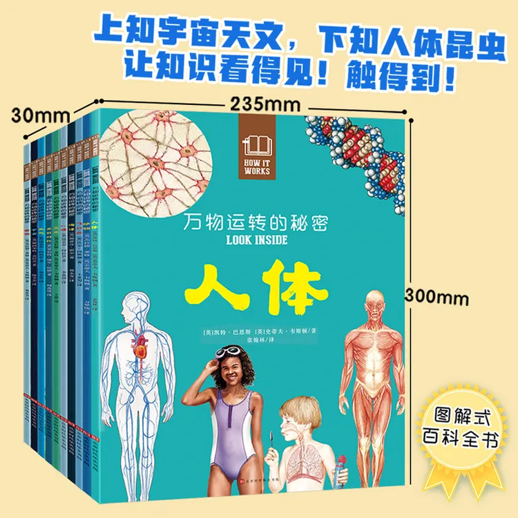 万物运转的秘密（全10册）5-10 岁儿童百科全书认知科普绘本
