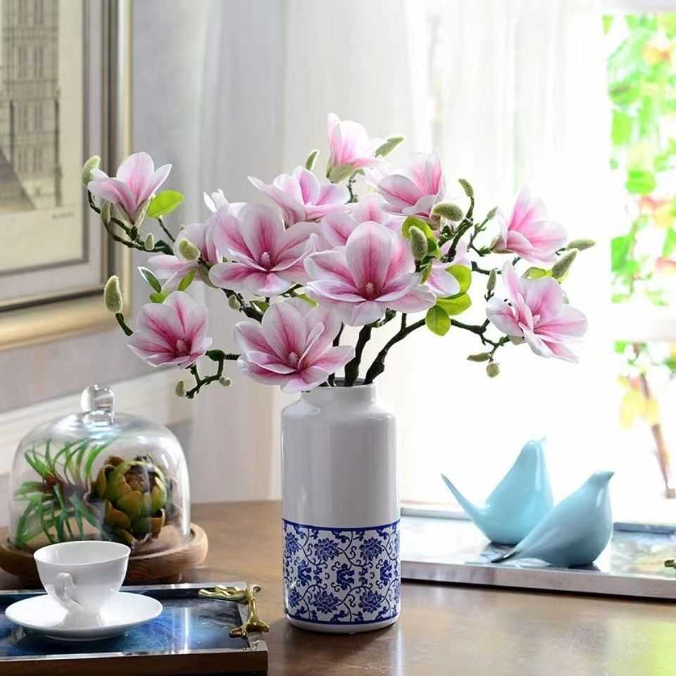 鲜枝水培玉兰花卉室内植物办公室盆栽冬季花开阳台田园庭院优雅