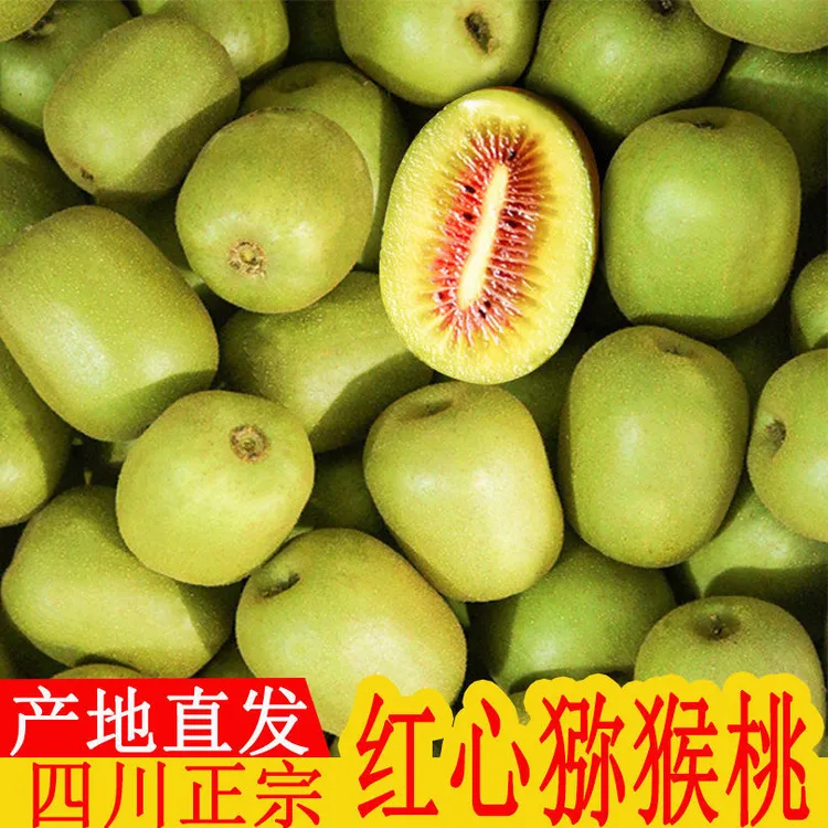 四川蒲江红心猕猴桃新鲜当季水果24粒/30粒包邮1-5斤装