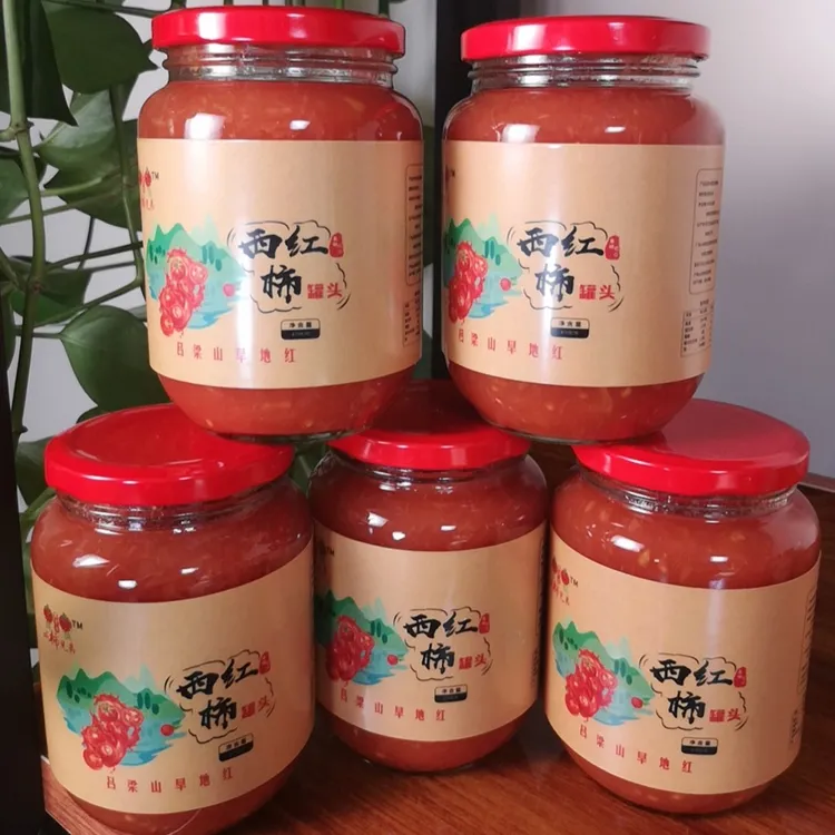 【诚柿兄弟】吕梁山旱地西红柿酱一箱6瓶，470克每瓶，诚柿兄弟