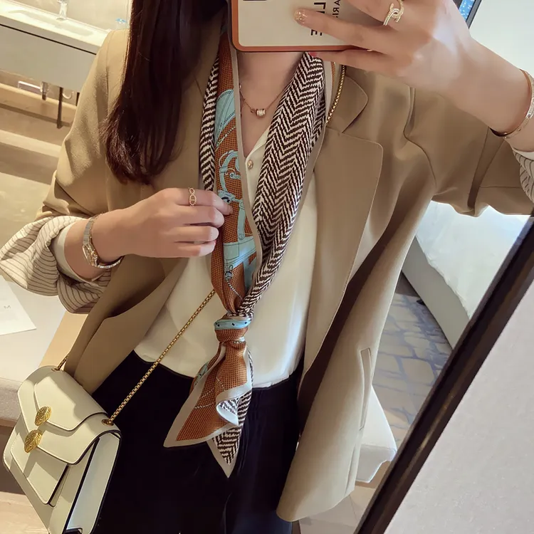 【咖色链条】逐梦鸟新款桑蚕丝长条春秋斜角真丝飘带女双层围巾直播