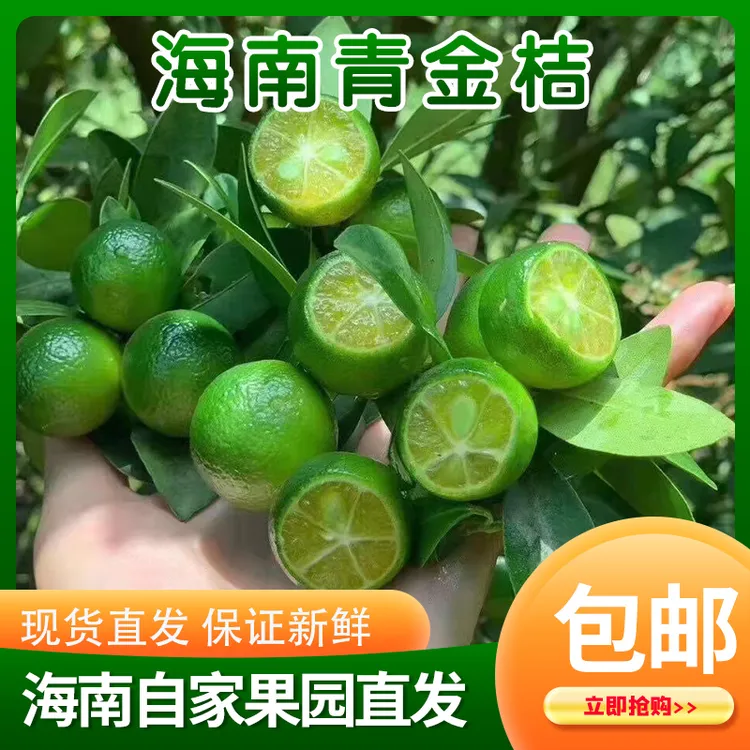 正宗海南小金桔青橘水果新鲜皮薄多汁包邮小青柠现摘产地柠檬批发
