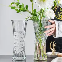 乐之沭玻璃花瓶透明水养富贵竹百合摆件客厅插花干花北欧特大号