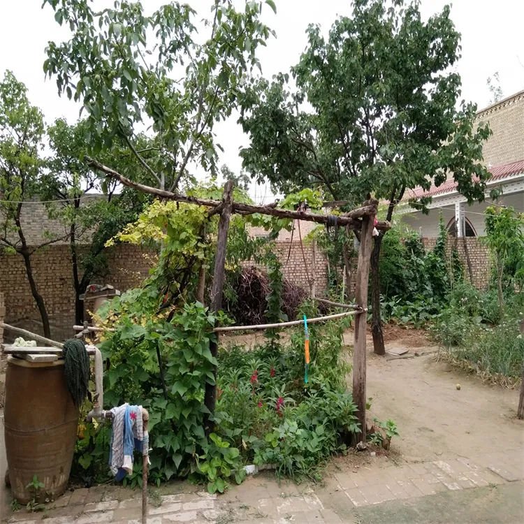 【达人推荐】直播背景布3d窑洞农民土砖破旧房屋网红背景布