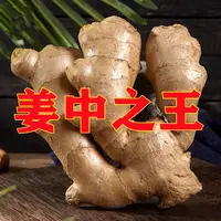 生姜批发老姜正宗水洗风干无土无泥整片山东大黄姜新鲜现挖1-10斤