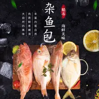 彬哥Bingo东海海鱼拼盘深海鱼拼盘1500g-2500g
