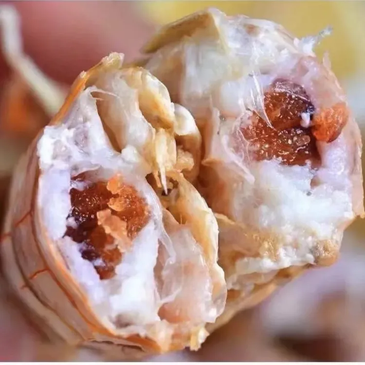 连云港大号全母带膏皮皮虾 每盒500/克 熟冻发货 不肥包退