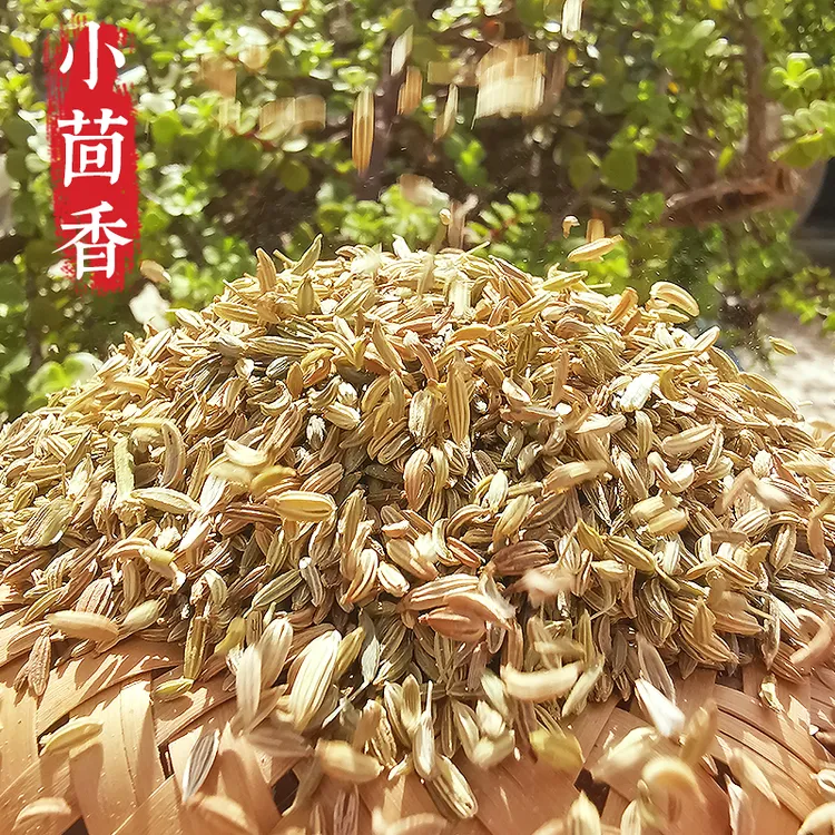 山野兄弟高品质小茴香调料原生态无硫足干香料天然农产品卤料茴香