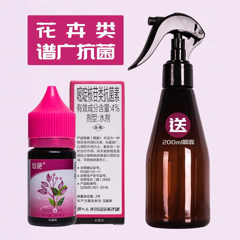 仙葩月季兰花多肉白粉病黑斑病炭疽病杀菌剂