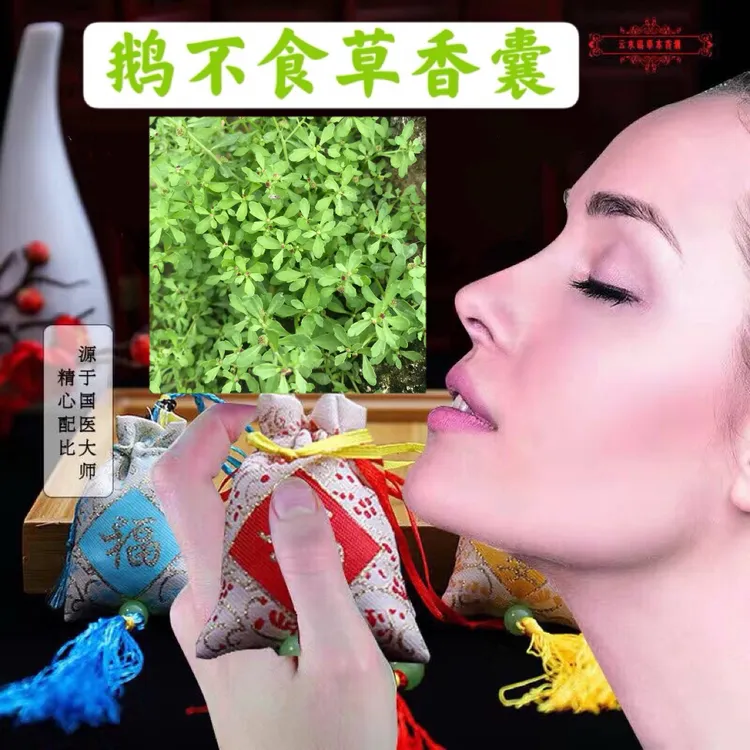 【鼻塞通络香囊】鹅不食草打粉香囊【拍1发1】拍2发3】拍3发5】