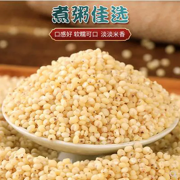 孙系农品朝阳有机高粱米5斤