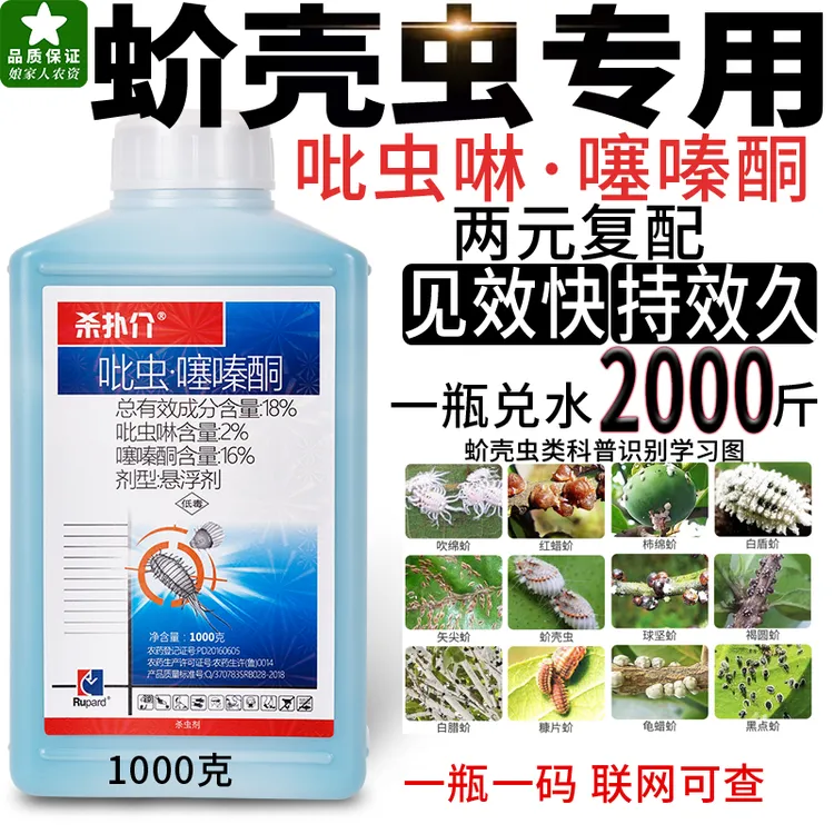 农药店蚧壳虫专用药蚧必治吡虫啉噻嗪酮多肉花卉果树介壳虫杀虫剂