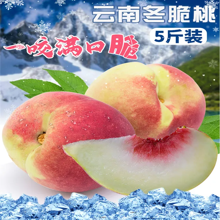 彝蓓朵云南新鲜现摘冬脆桃2斤/4斤/5斤脆甜多汁当季水果应季桃子