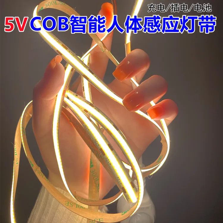 免布线5V线条灯低压COB感应灯带充电插电衣橱鞋柜防水自粘线条灯