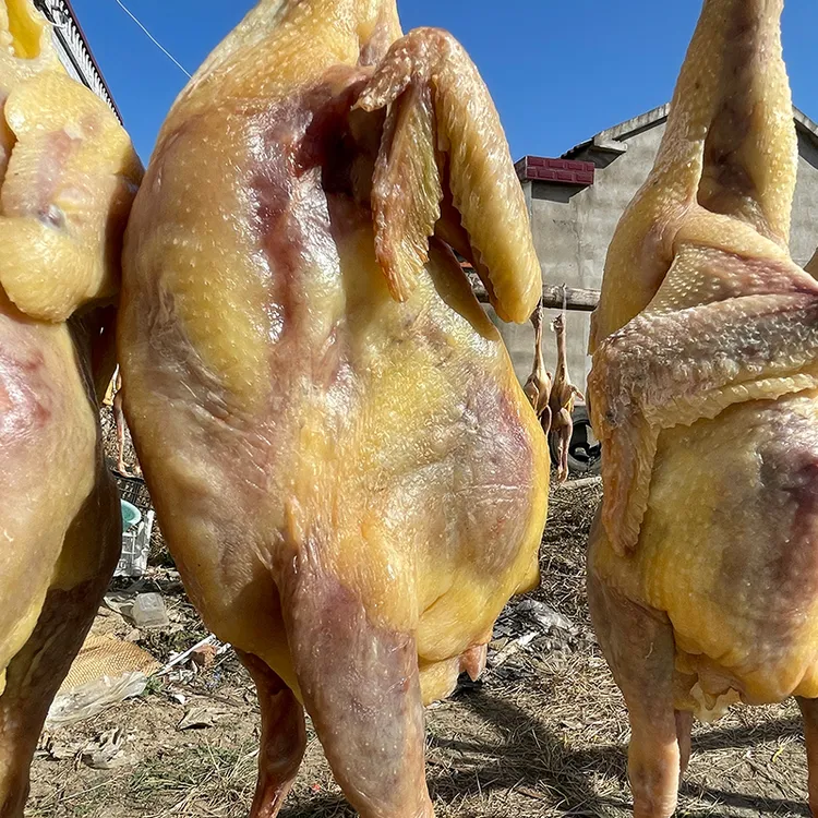 安徽寿县土特产咸肉腊鸡风干鸡整只农家腌制散养1只2.5斤左右