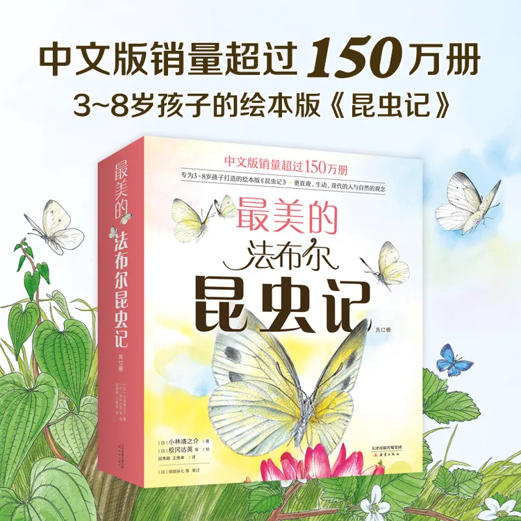 最美的法布尔昆虫记  科普绘本 阅读松冈达英自然