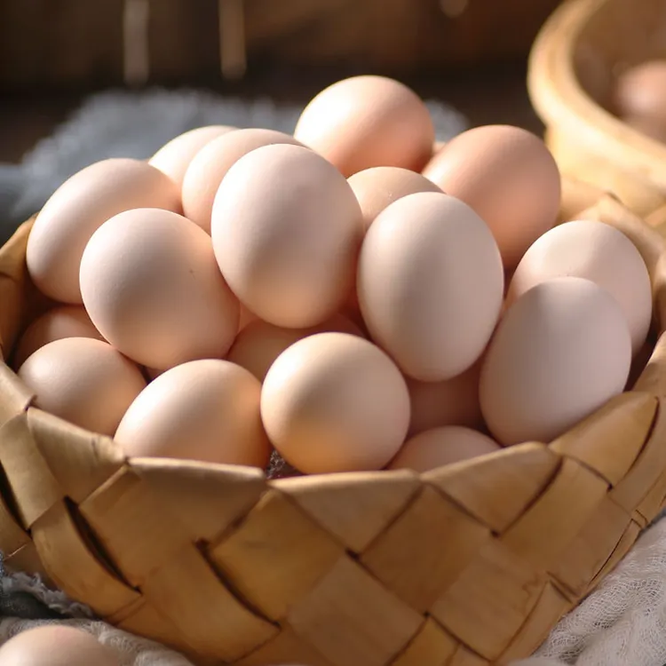 五斗春湖北新鲜粉壳绿壳土鸡蛋农家散养鸡蛋自产自销散养土鸡蛋商品图