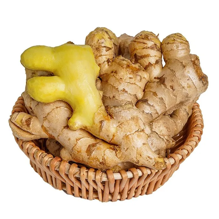 甜果篮正宗云南高山小黄姜老姜生姜新鲜现挖山地种植高品质老姜
