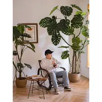 掬涵龟背竹仿真树大型绿植客厅软装网红装饰落地仿生植物假树【荐】