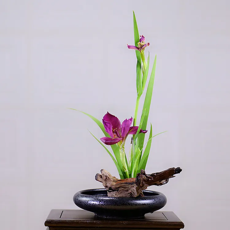 弧边浅盆新中式复古典插花水培盆陶瓷插花器东方花道禅意写景花盘
