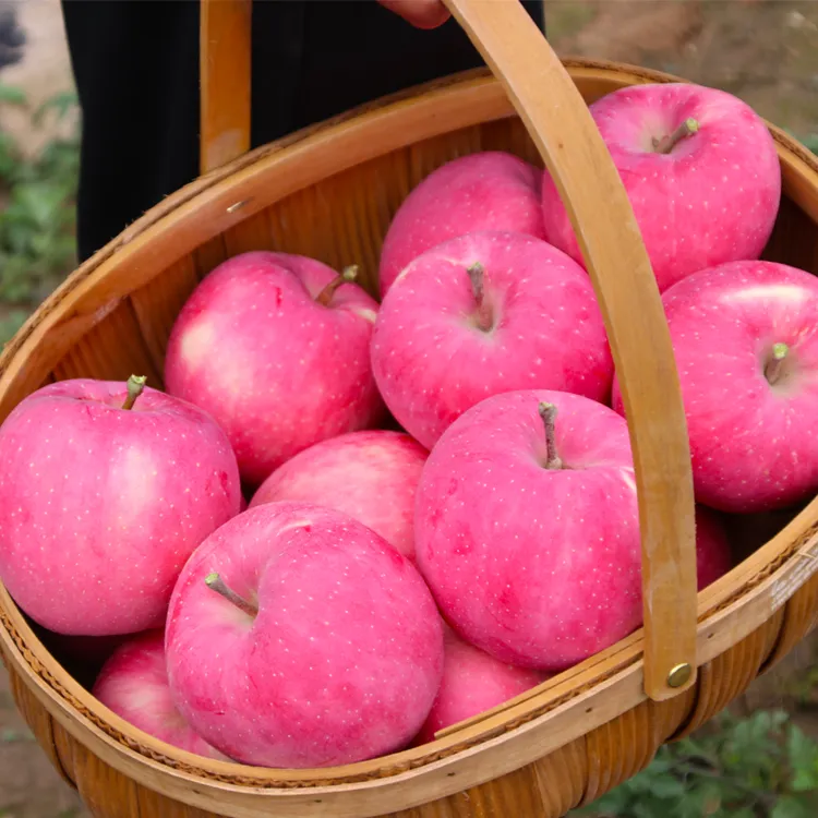 甘肃静宁红富士红苹果脆甜多汁原产地直供整箱包邮4-14斤带箱发货