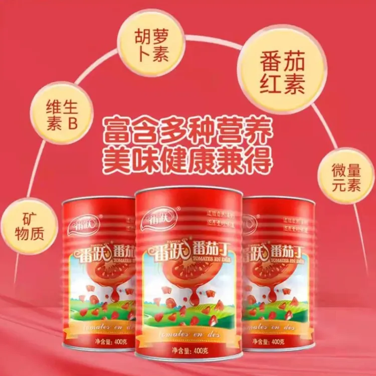 番跃番茄罐头22年新产季新鲜自然熟烹饪番茄丁400g*5罐