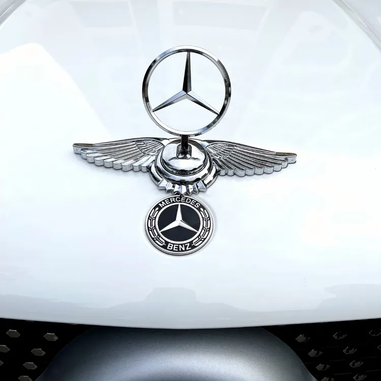 汽车车标个性改装机头盖引擎盖装饰金属立标电镀车标翅膀立标立体